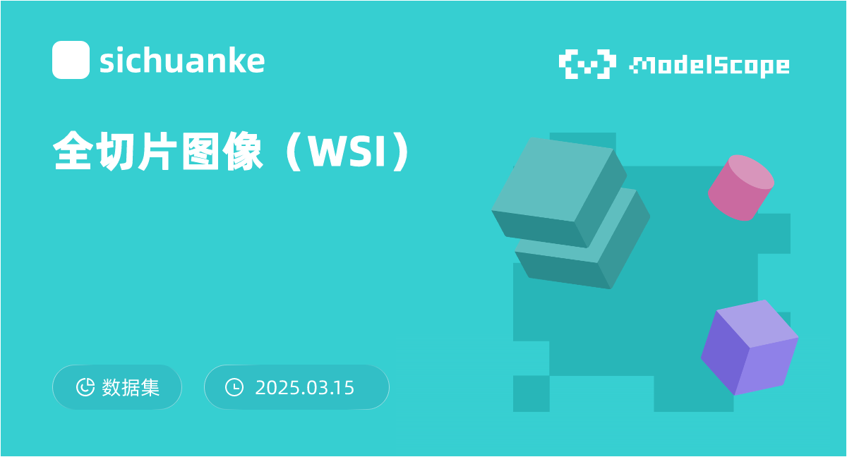 全切片图像（WSI）