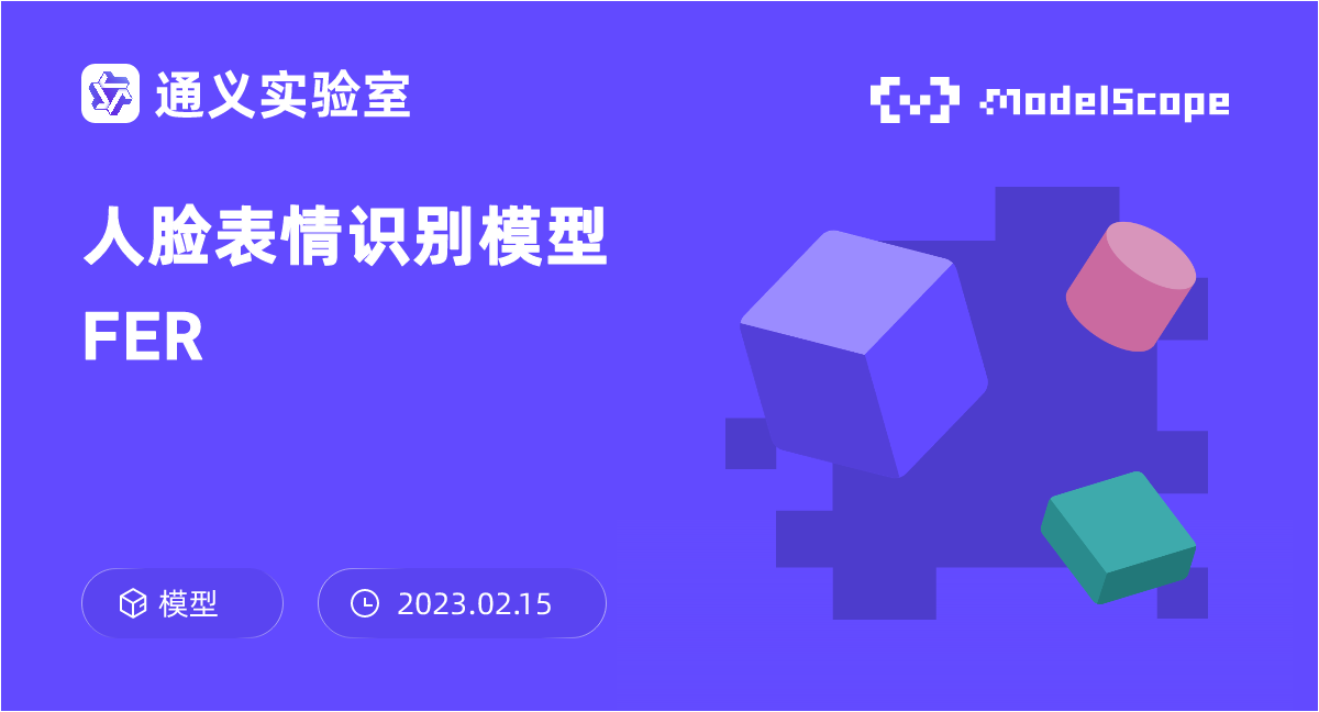 人脸表情识别模型FER
