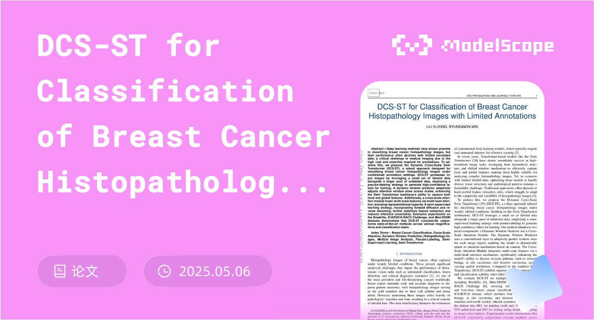 DCS-ST for Classification of Breast Cancer Histopathology Images with ...