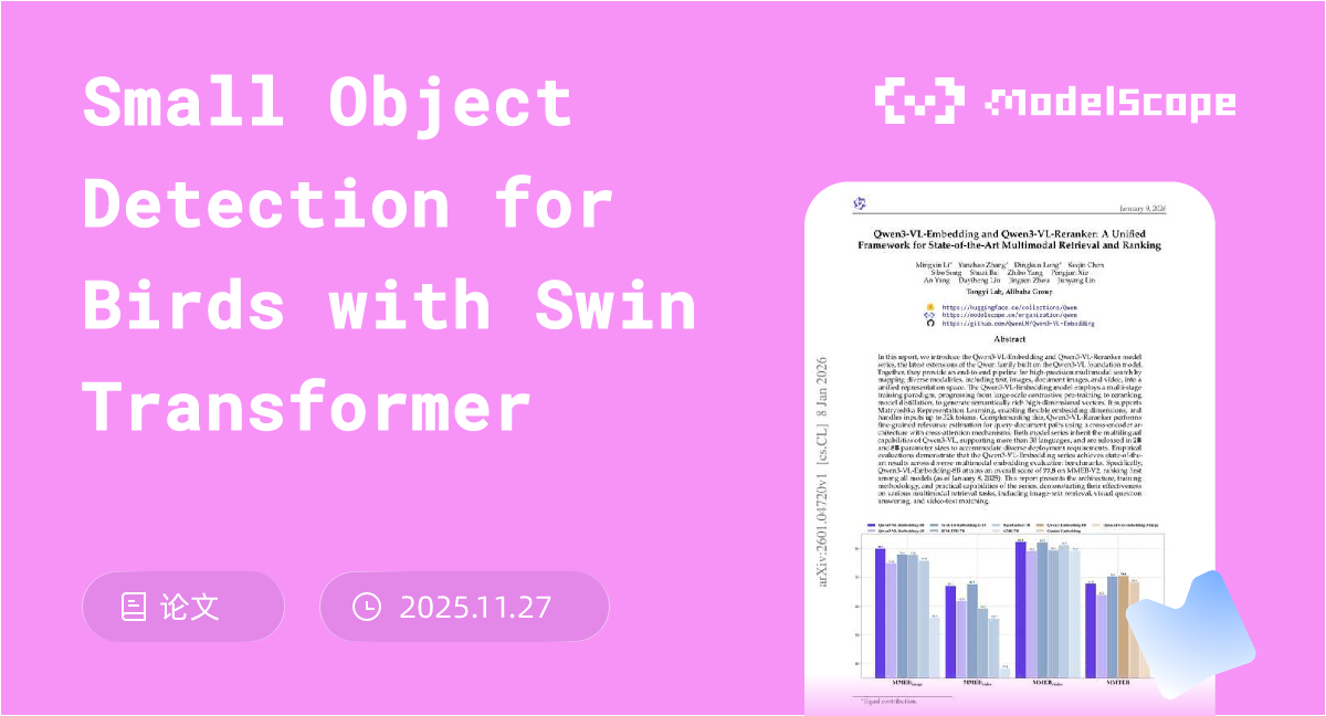Small Object Detection for Birds with Swin Transformer